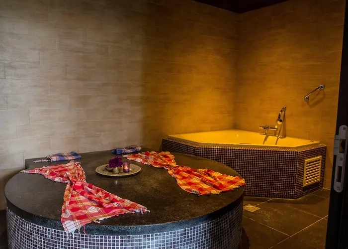 & Savarin - Rijswijk, 5* Гаага