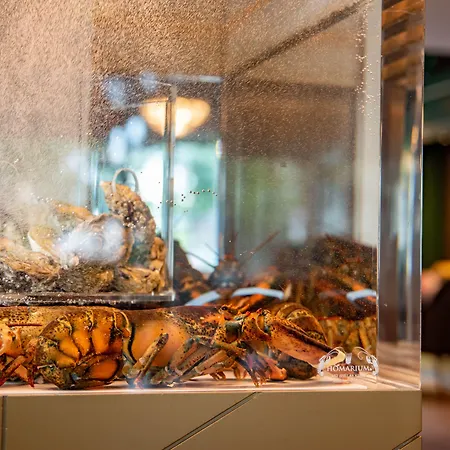 & Savarin - Rijswijk, Отель