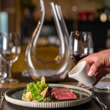 Hotel & Savarin - Rijswijk, La Haye